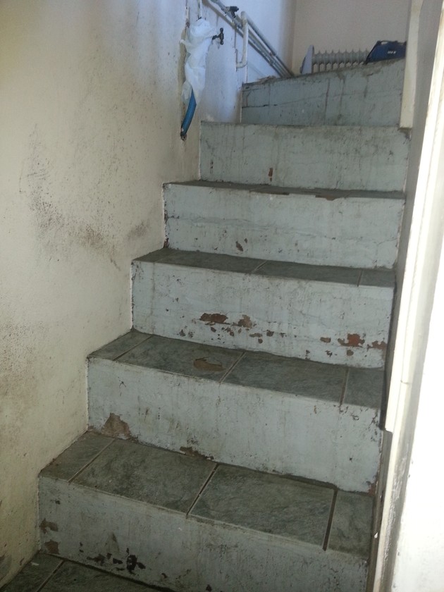 Basement steps